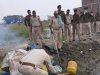 स्वान दस्ते के साथ कि गई छापेमारी में सैकड़ों लीटर देशी शराब के साथ 3 महिला समेत 13 गिरफ्तार