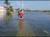 कवलपुरा पंचायत के छ:वार्ड के लोगों की स्थिति नारकीय,सुधि लेने वाला कोई नही।
