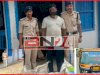 अथमलगाोला में 287 लीटर शराब बरामद, टेंपो जप्त, चालक गिरफ्तार, फोरलेन पर पुलिस की बड़ी कार्रवाई