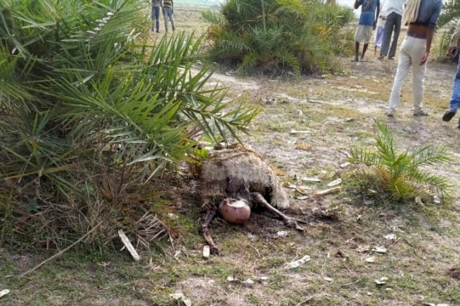 दर्जनों संगीन मामले के आरोपी की मिली लाश, क्षेत्र में फैली सनसनी