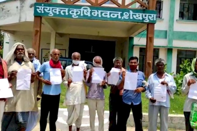 यास तूफान के कारण हुई बारिश से कटे हुए गेहूं की फसल खेत में ही हो गई बर्बाद।