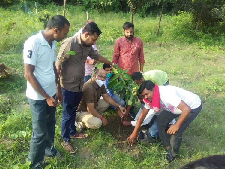 अथमलगोला मंडल भाजपा द्वारा वृक्षारोपण कार्यक्रम आयोजित