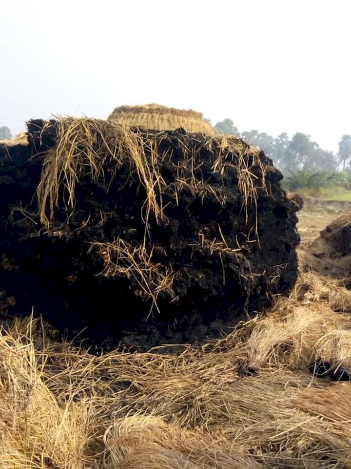 लखीसराय के प्रतापपुर गांव में धान के पुंज में लगी आग से कई किसानों के जले अरमान