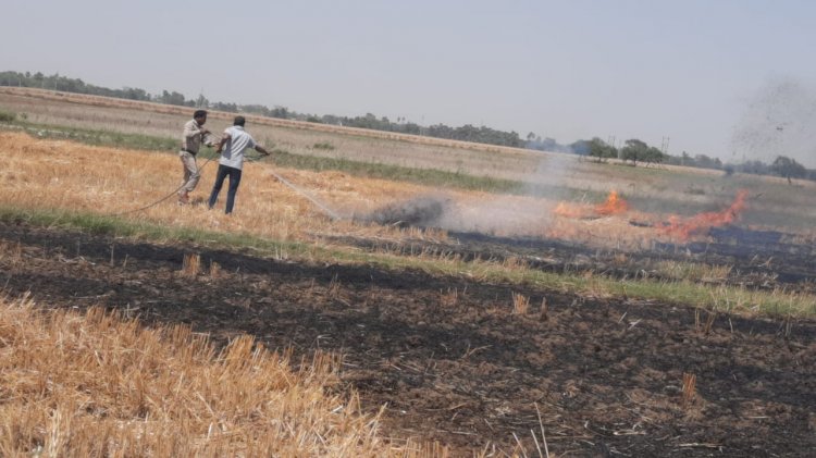 टाल क्षेत्र में अगलगी की हुई घटना में कई बीघे में लगी गेहूं की फसल जल कर राख में तब्दील