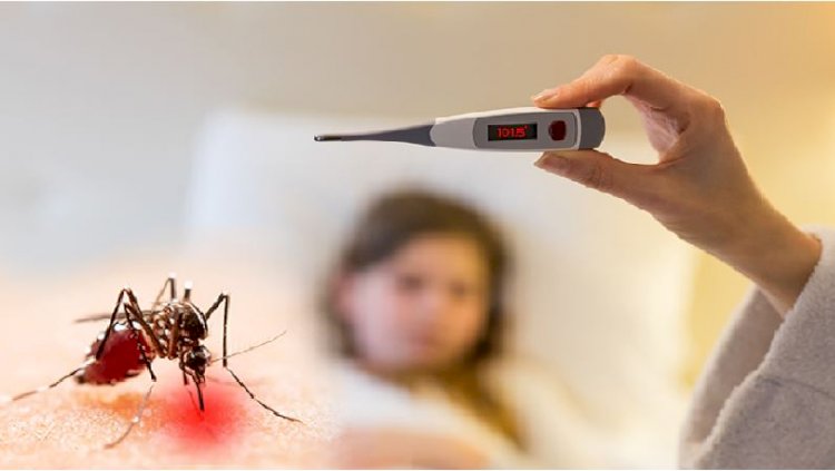 डेंगू के मरीजों की संख्या में ठंड का आगमन होने के बावजूद भी नही आ रही गिरावट